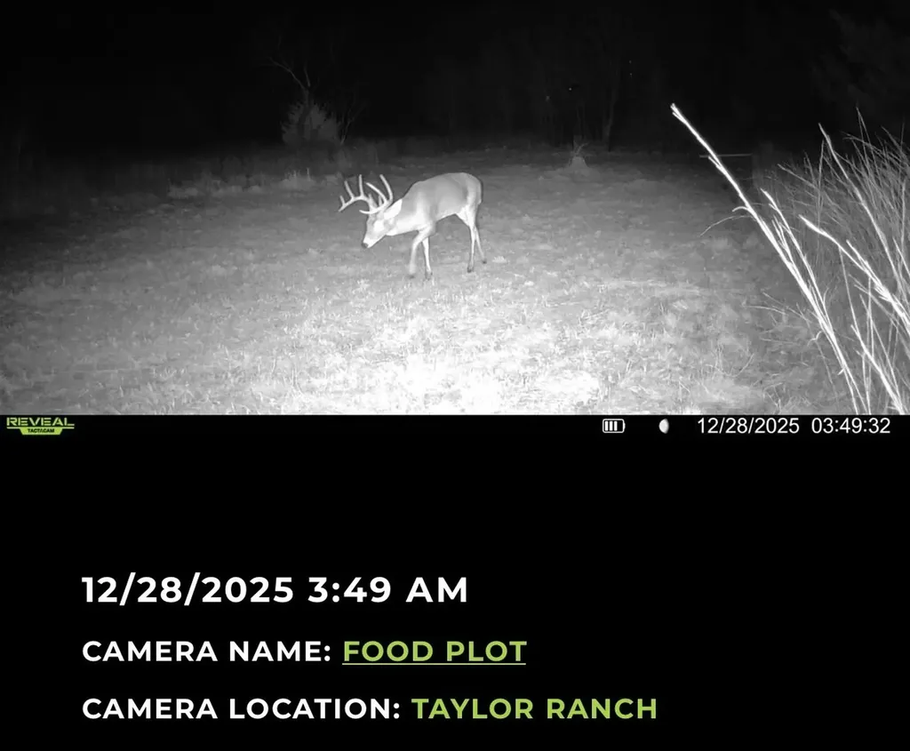 224 Hcr 3350 N Hubbard TX 76648