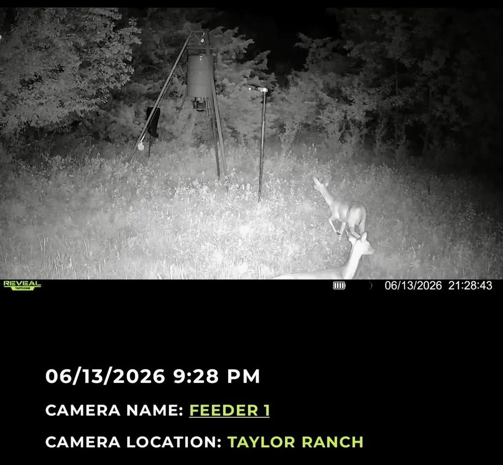 224 Hcr 3350 N Hubbard TX 76648