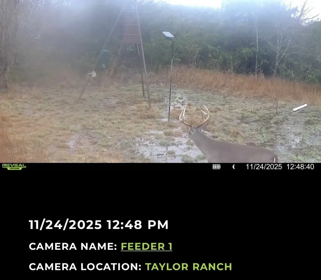 224 Hcr 3350 N Hubbard TX 76648