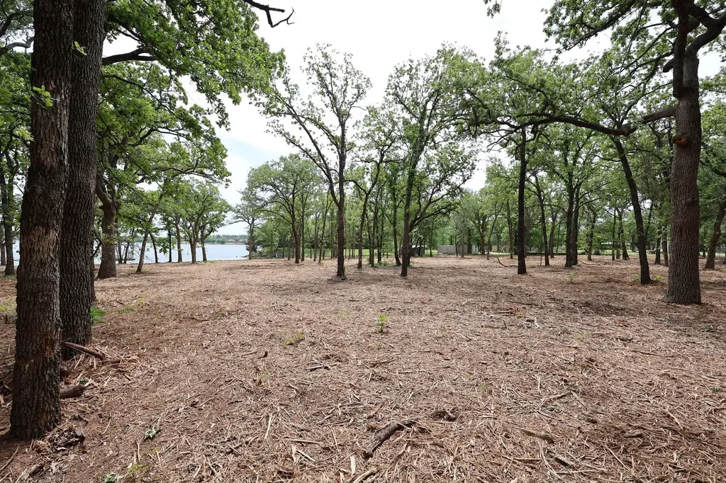 Tbd Selma Lot 8 Bowie TX 76230