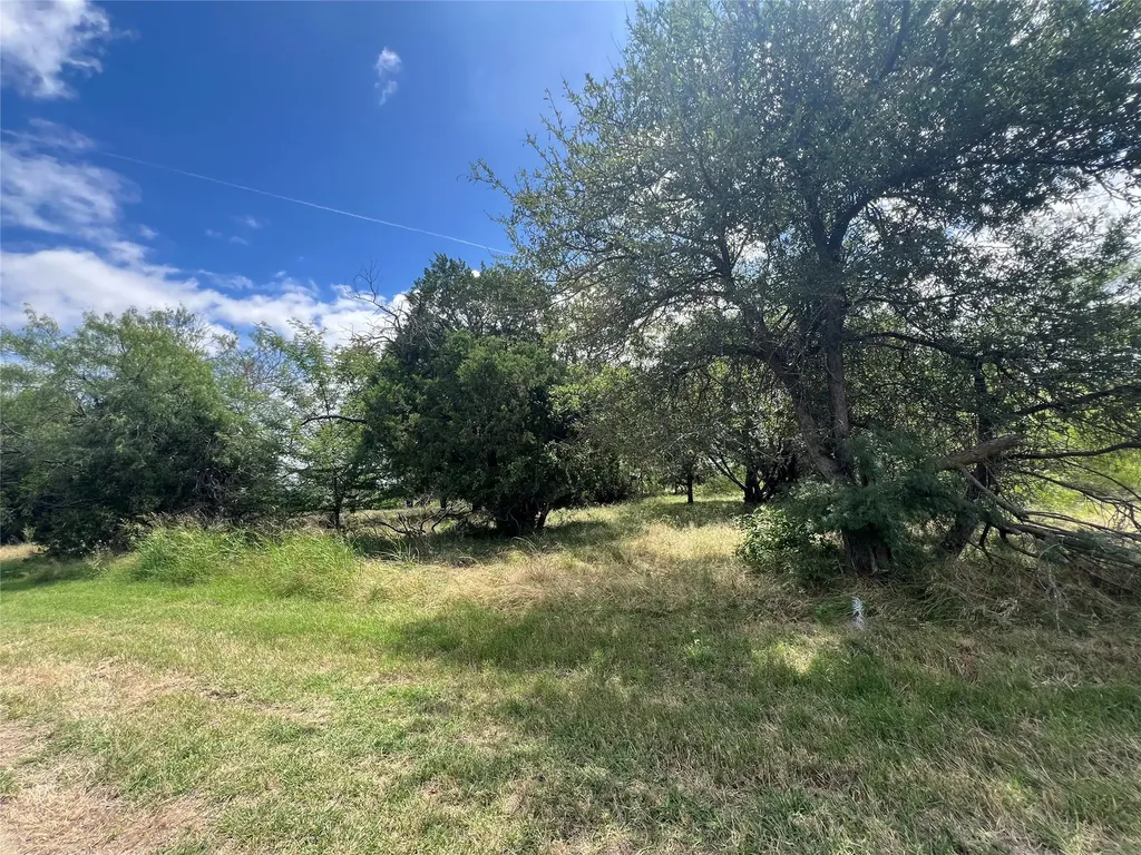 42147 Glen Eagles Drive Whitney TX 76692