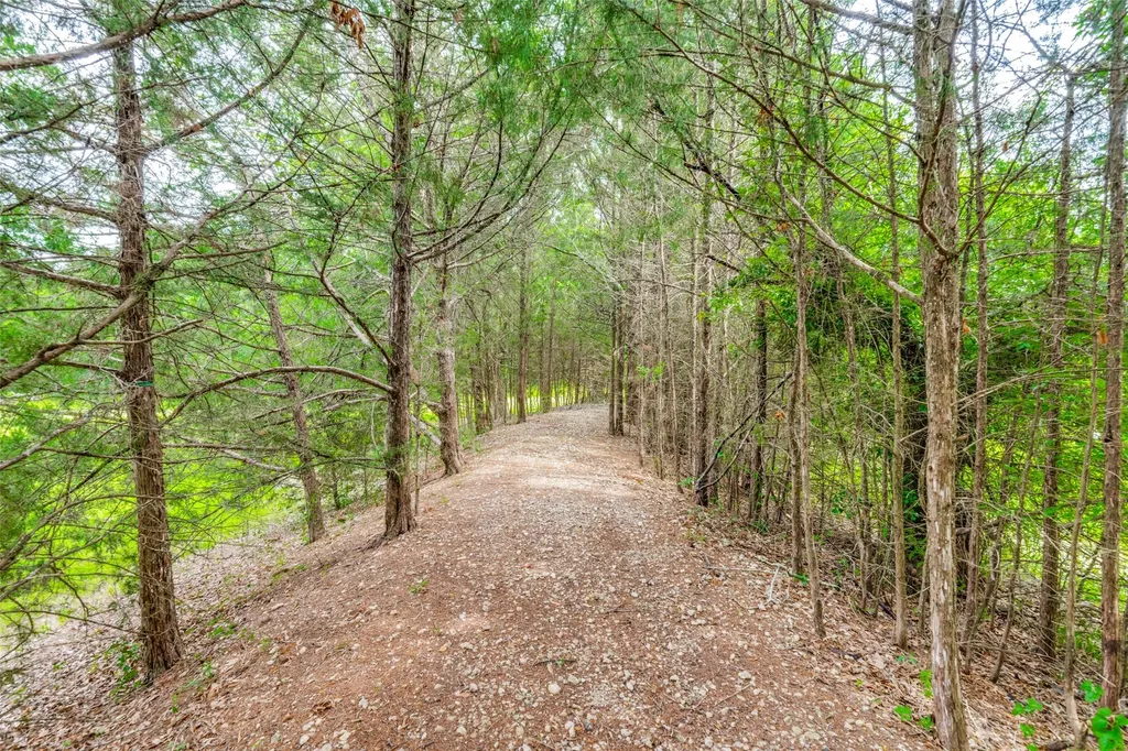9011 Texas Trail Terrell TX 75160