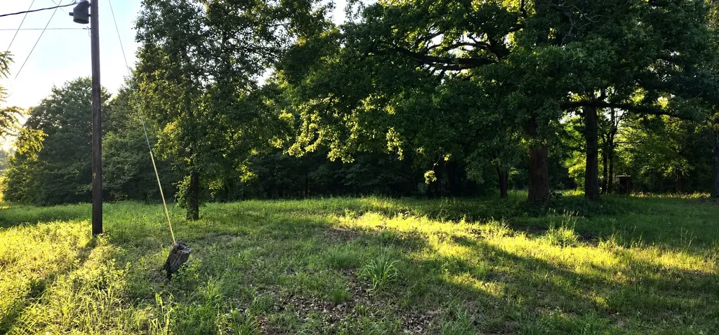 14598 County Road 1122 Athens TX 75751