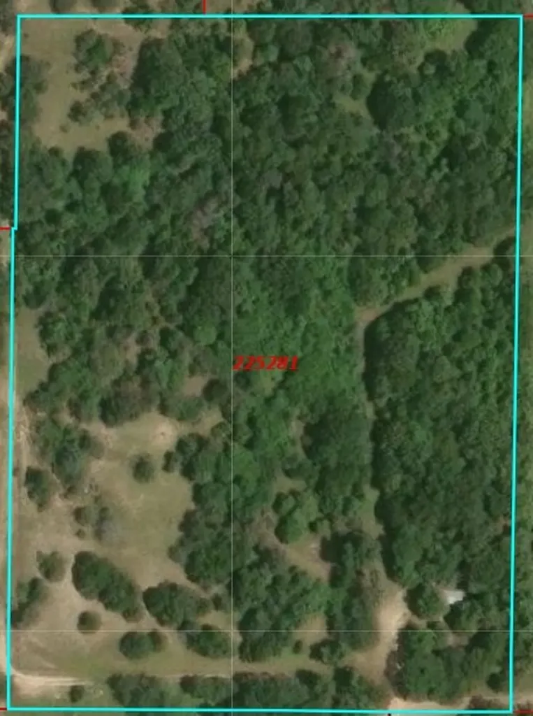 14598 County Road 1122 Athens TX 75751