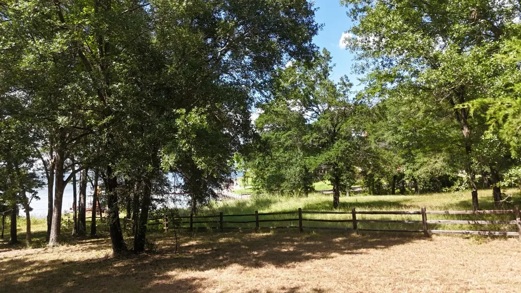 Lot 81 Appomattox Streetman TX 75859