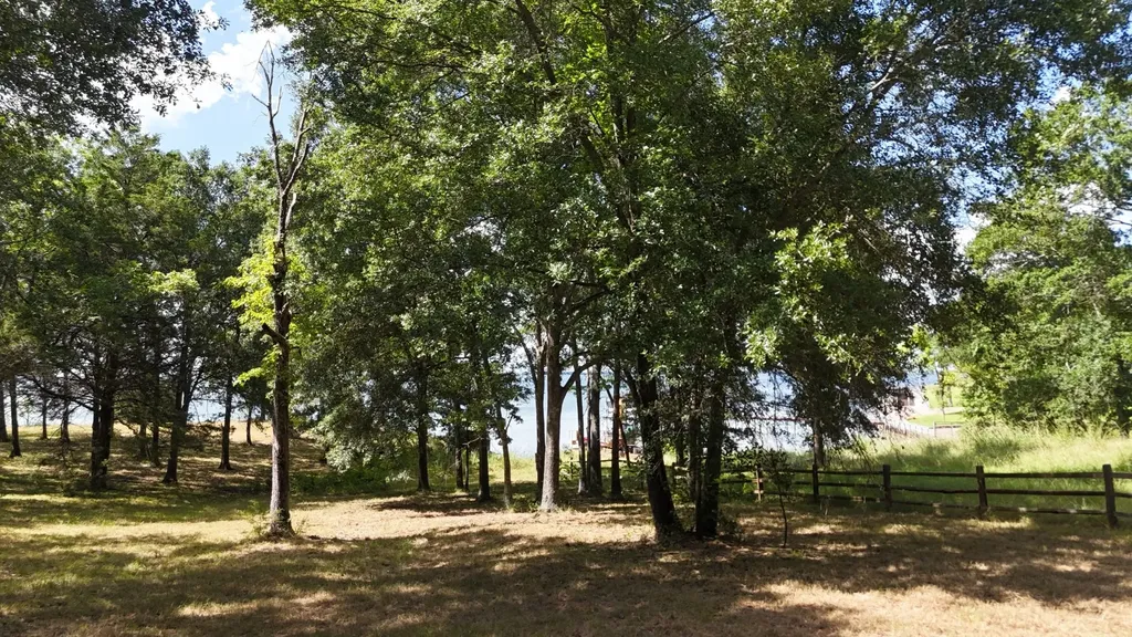 Lot 81 Appomattox Streetman TX 75859