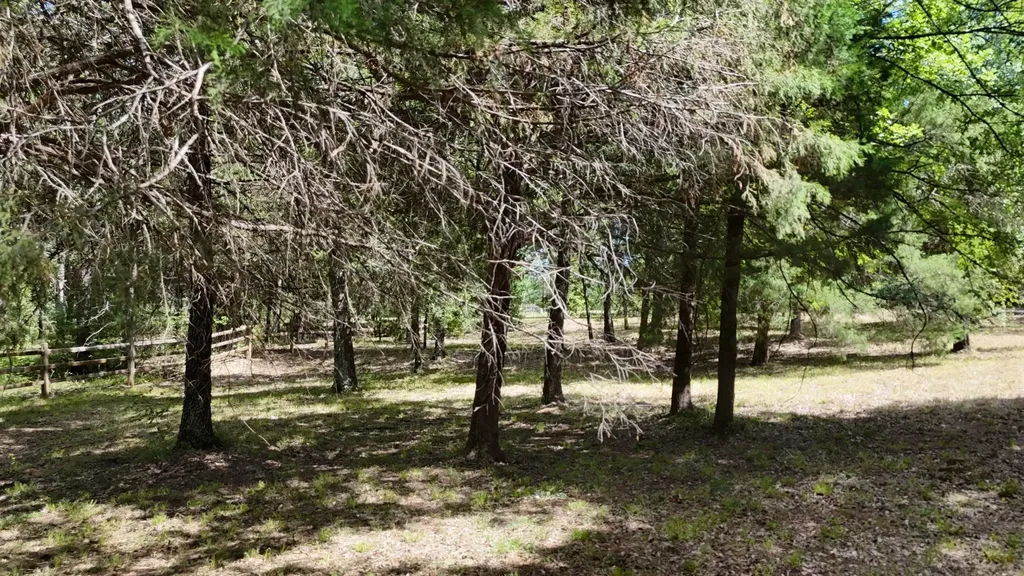 Lot 81 Appomattox Streetman TX 75859
