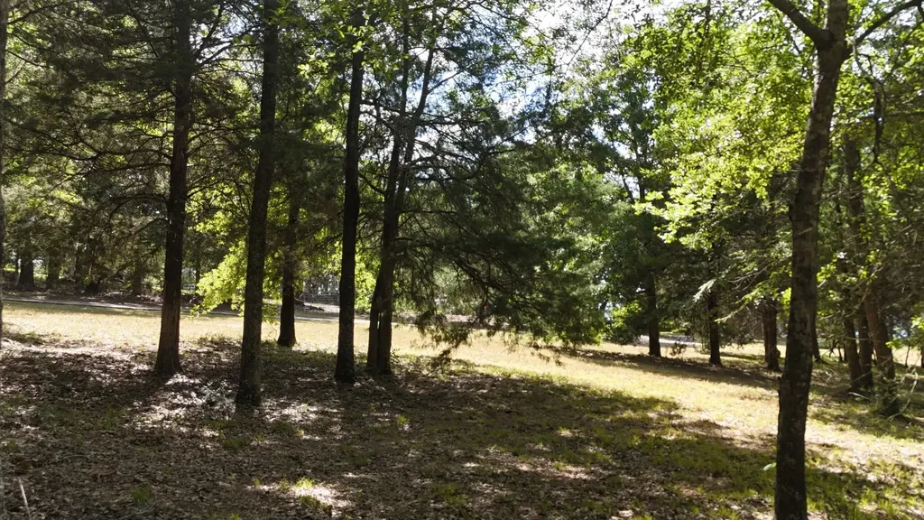 Lot 81 Appomattox Streetman TX 75859