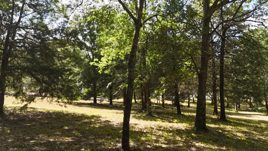 Lot 81 Appomattox Streetman TX 75859