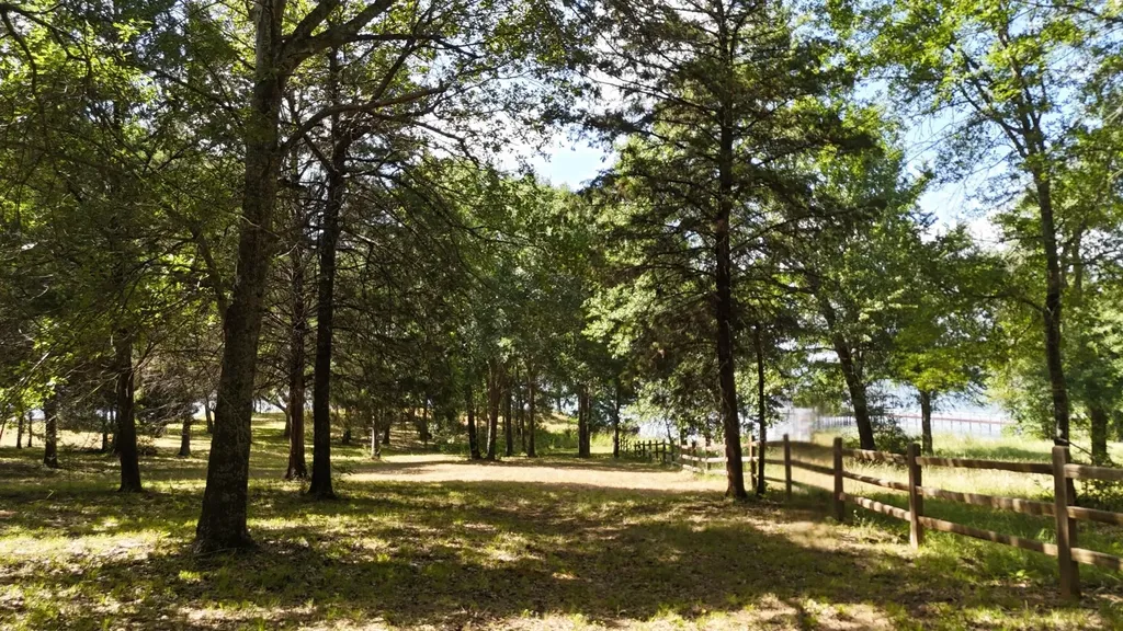 Lot 81 Appomattox Streetman TX 75859