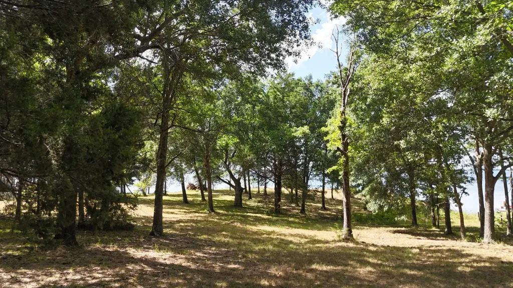 Lot 81 Appomattox Streetman TX 75859