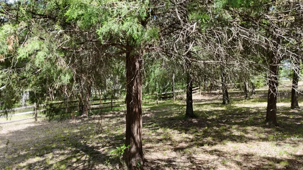 Lot 81 Appomattox Streetman TX 75859