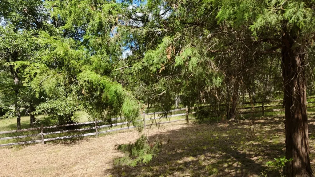 Lot 81 Appomattox Streetman TX 75859