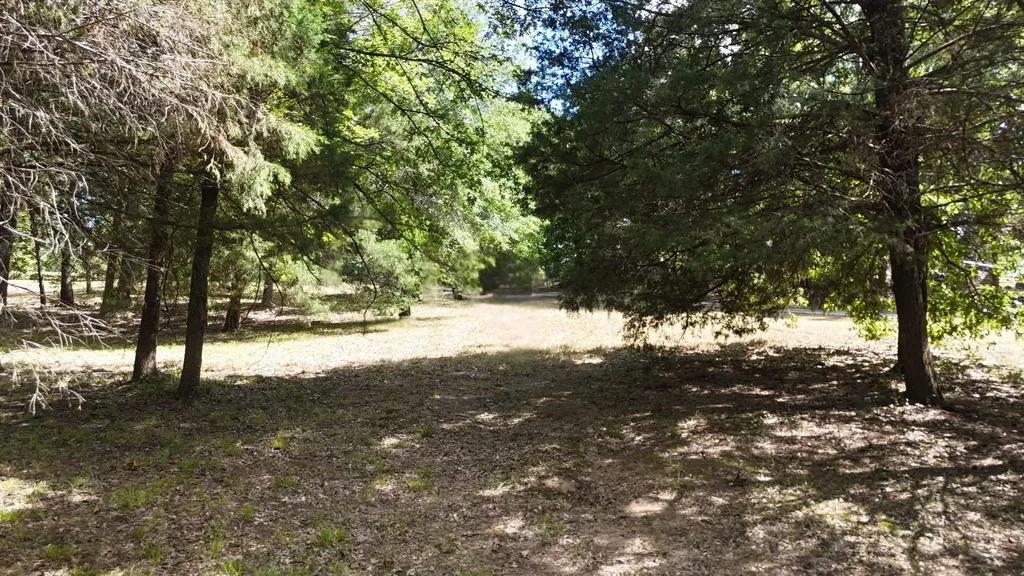 Lot 81 Appomattox Streetman TX 75859