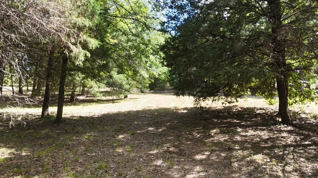 Lot 81 Appomattox Streetman TX 75859