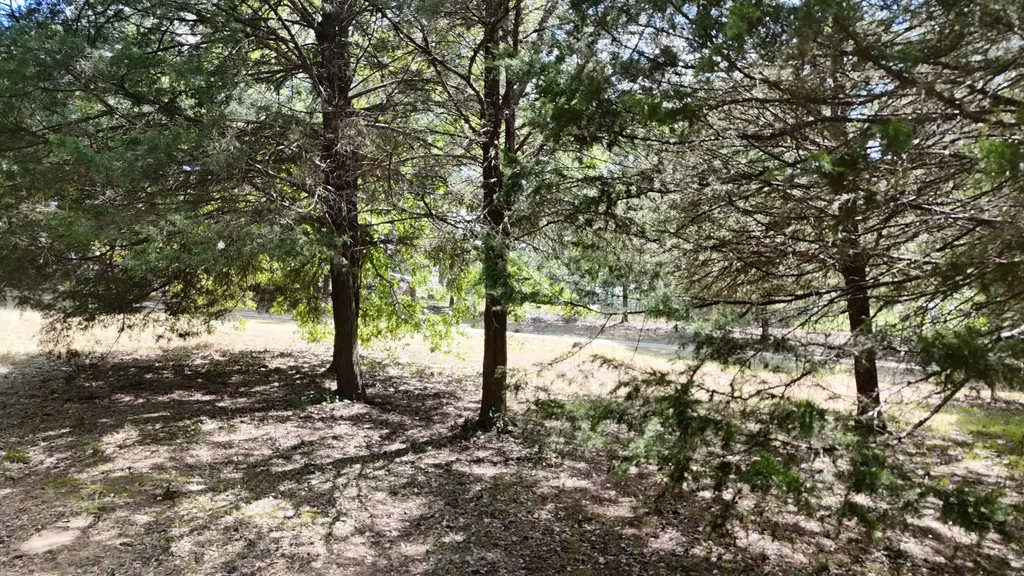 Lot 81 Appomattox Streetman TX 75859