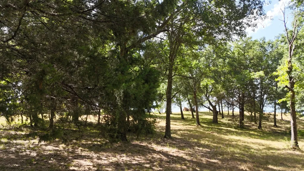 Lot 81 Appomattox Streetman TX 75859