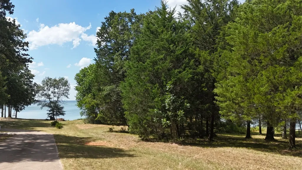 Lot 81 Appomattox Streetman TX 75859