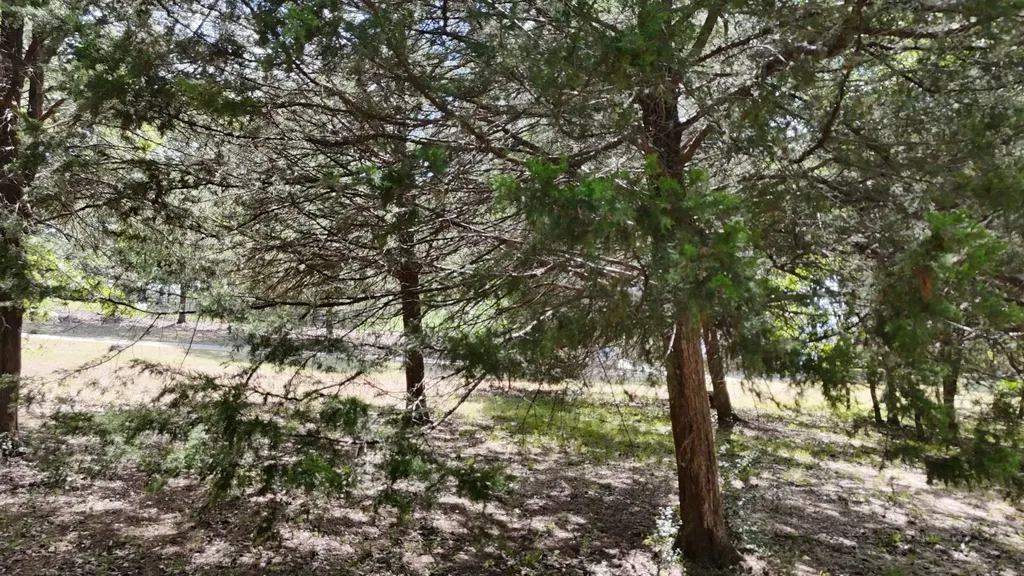 Lot 81 Appomattox Streetman TX 75859
