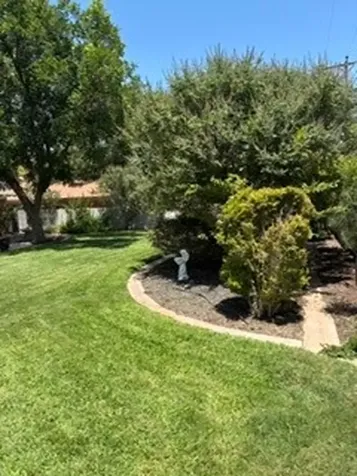 3740 Blossom Lane Odessa TX 79762