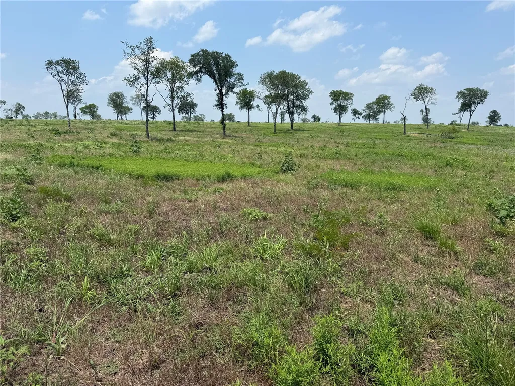 Lot 230 Waterfront Club Drive Corsicana TX 75110
