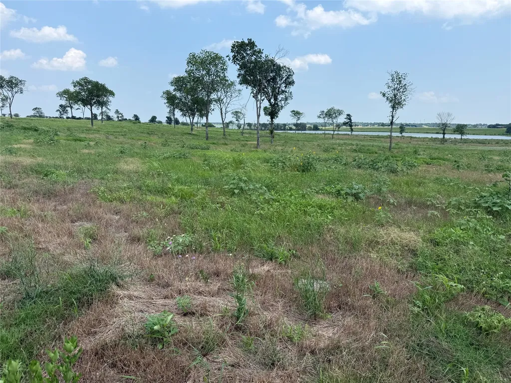 Lot 230 Waterfront Club Drive Corsicana TX 75110