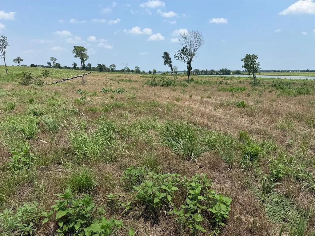 Lot 230 Waterfront Club Drive Corsicana TX 75110