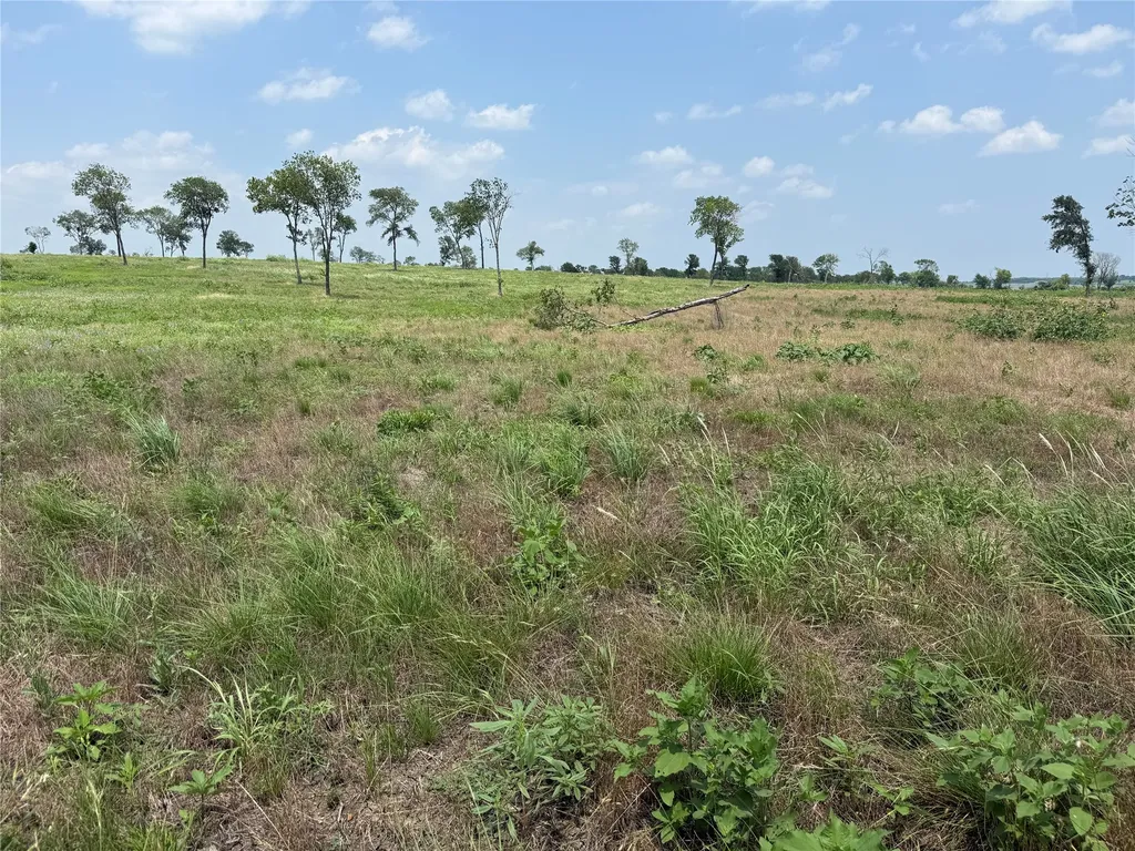 Lot 230 Waterfront Club Drive Corsicana TX 75110