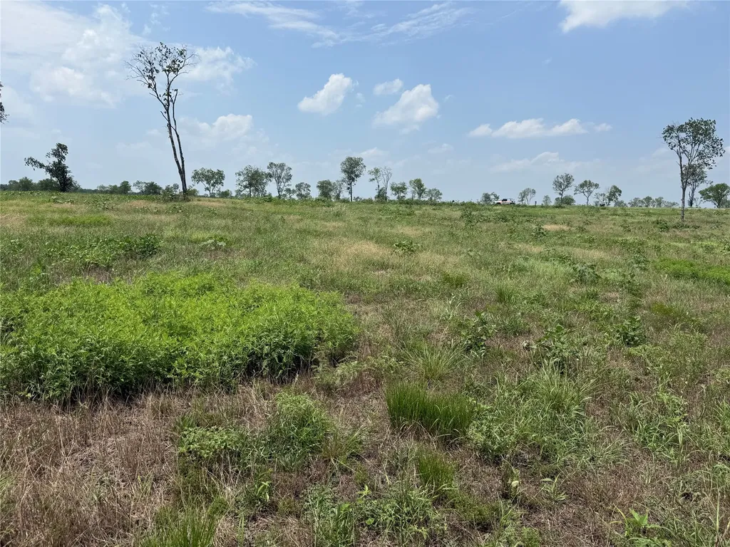 Lot 230 Waterfront Club Drive Corsicana TX 75110