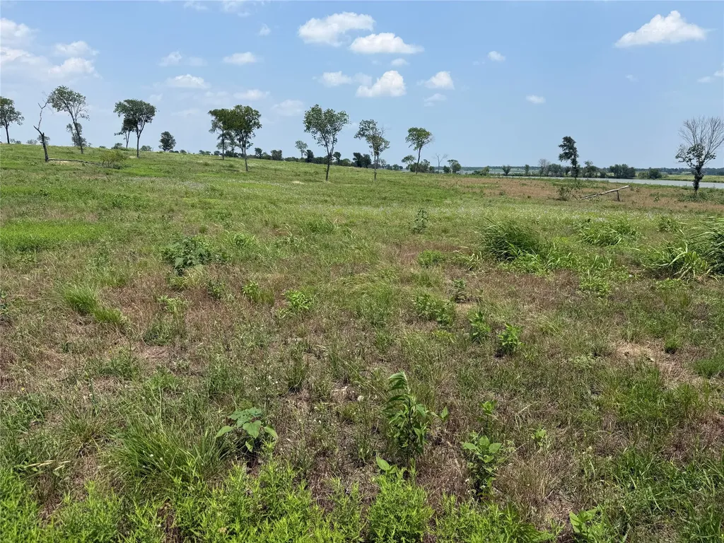 Lot 230 Waterfront Club Drive Corsicana TX 75110