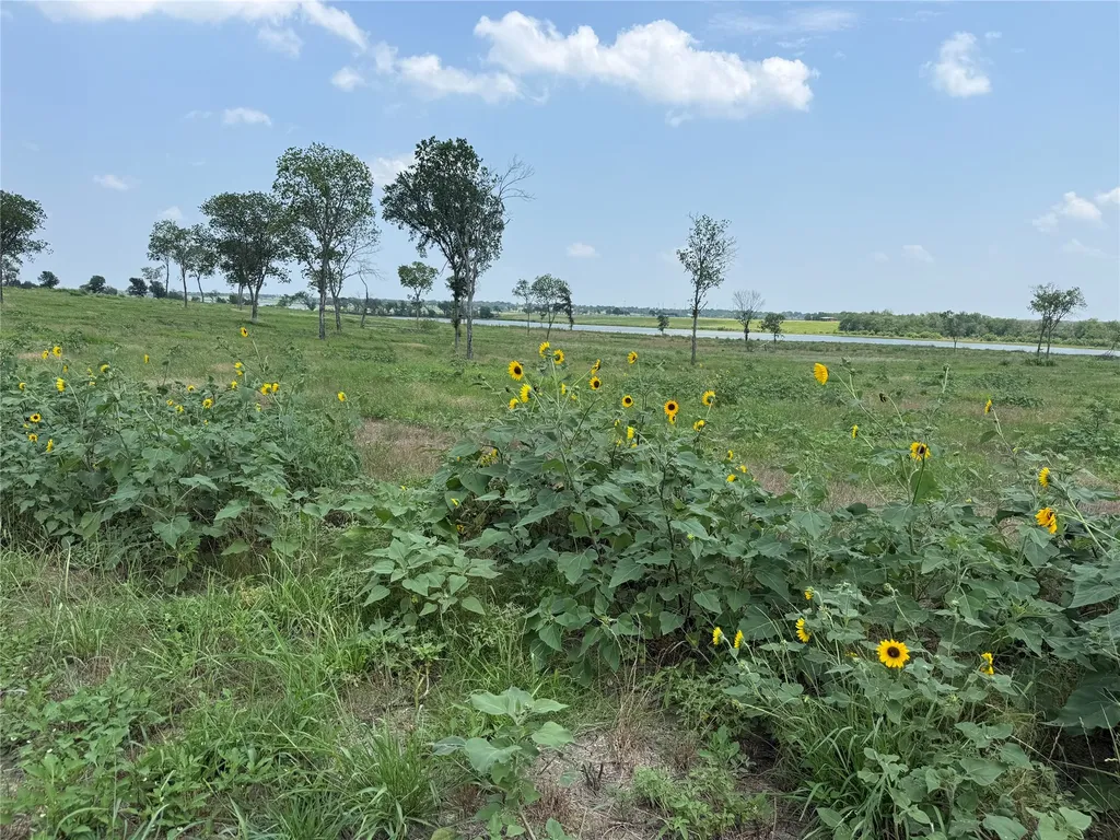 Lot 230 Waterfront Club Drive Corsicana TX 75110