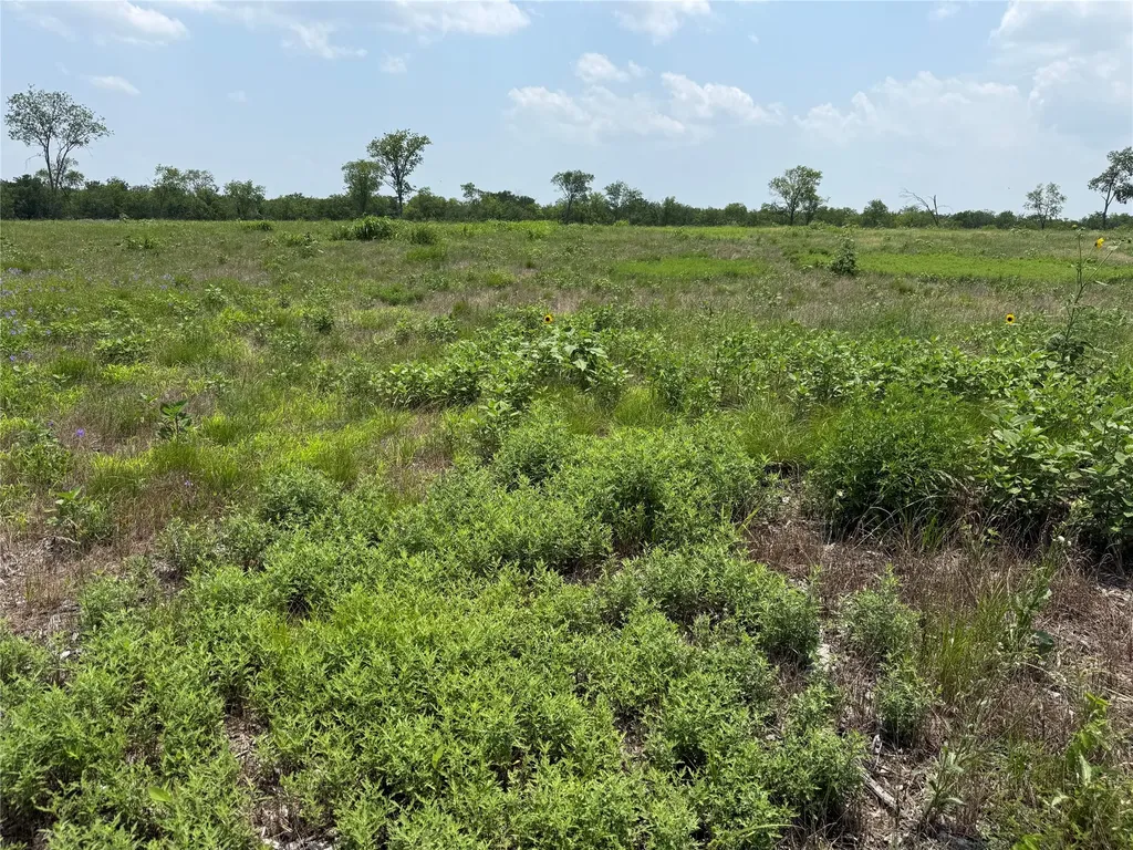 Lot 230 Waterfront Club Drive Corsicana TX 75110