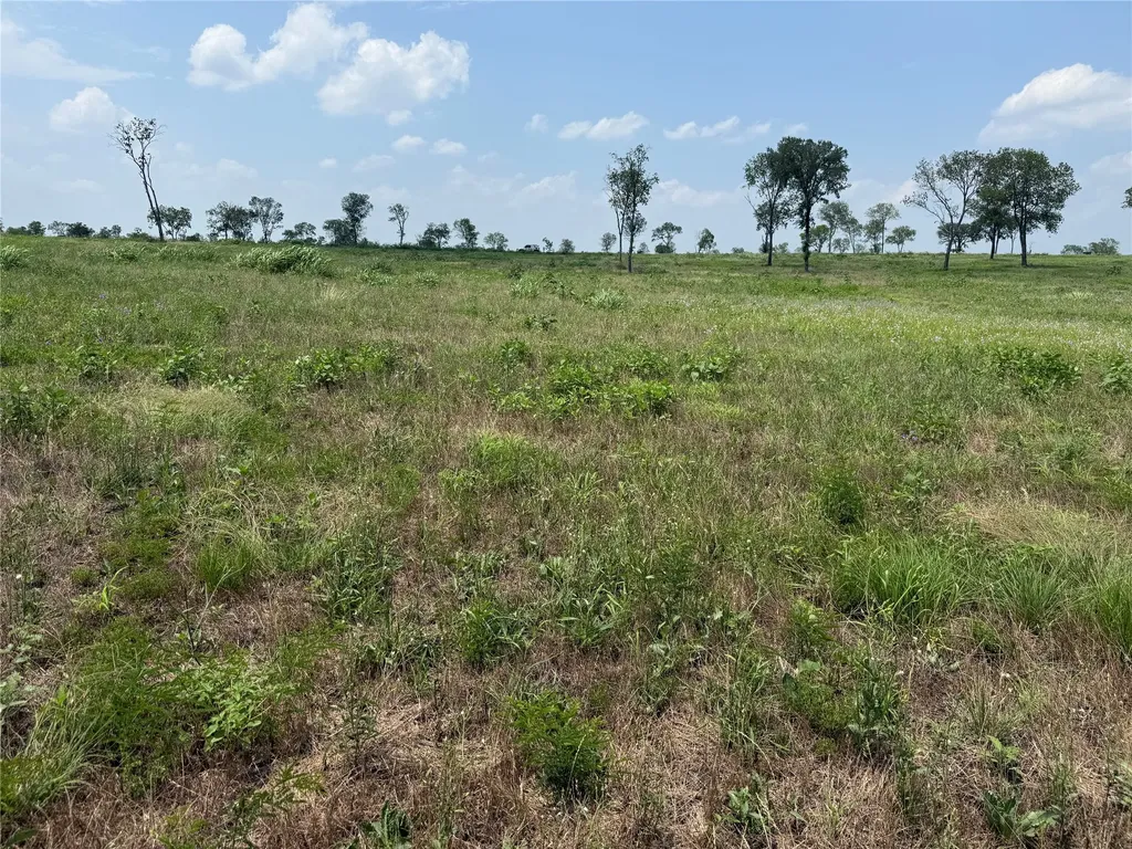 Lot 230 Waterfront Club Drive Corsicana TX 75110
