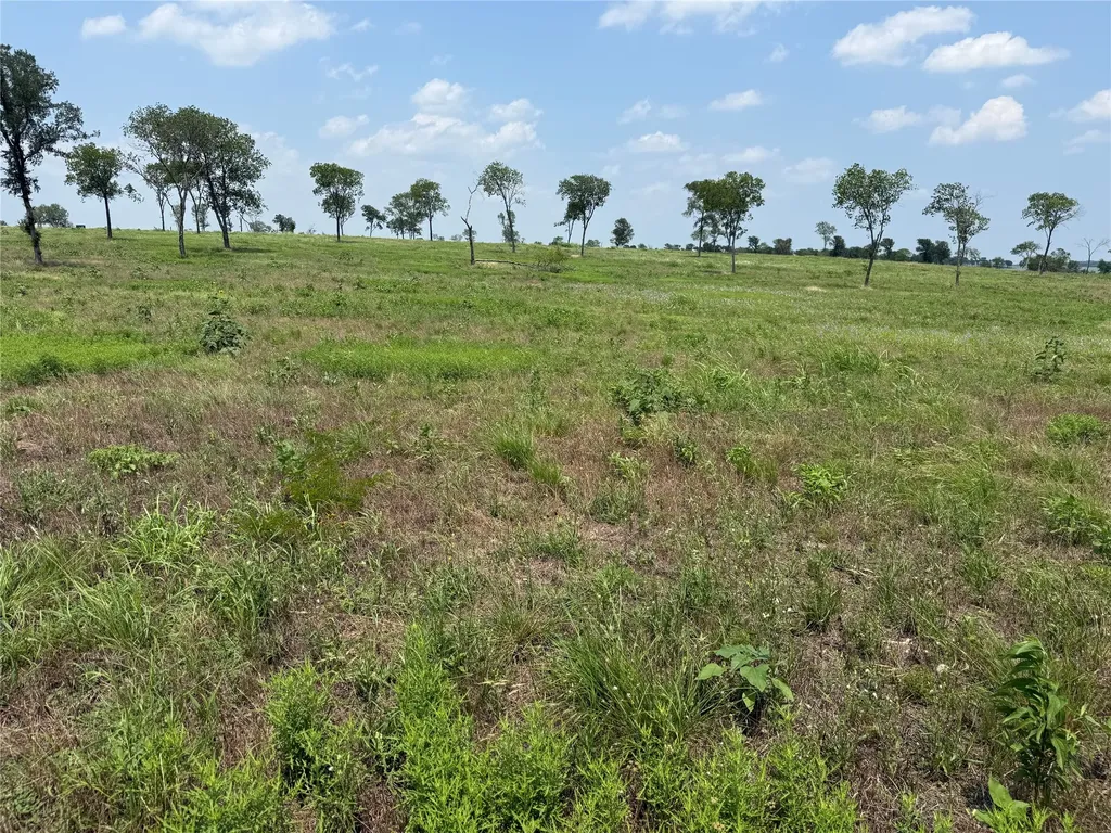 Lot 230 Waterfront Club Drive Corsicana TX 75110