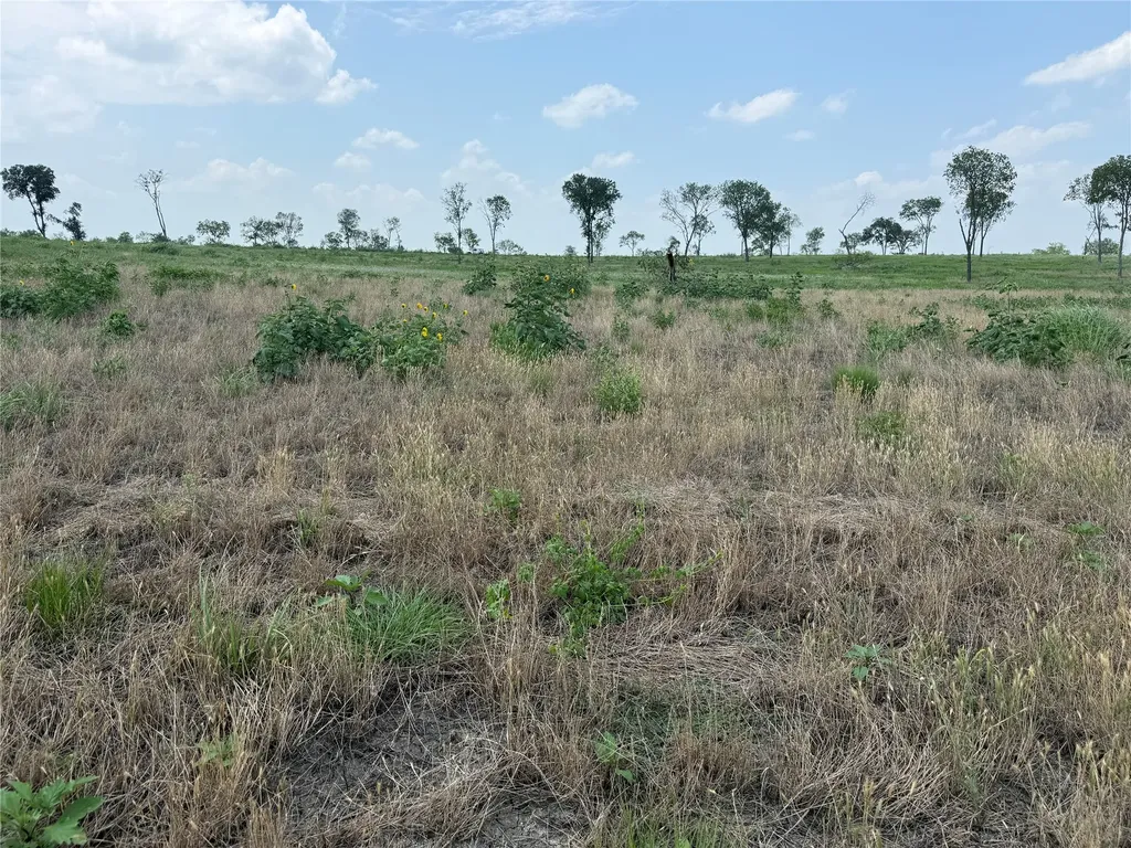 Lot 230 Waterfront Club Drive Corsicana TX 75110