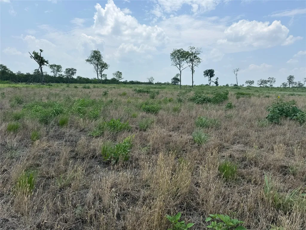 Lot 230 Waterfront Club Drive Corsicana TX 75110
