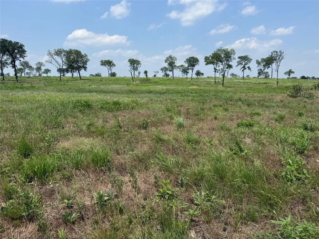 Lot 230 Waterfront Club Drive Corsicana TX 75110