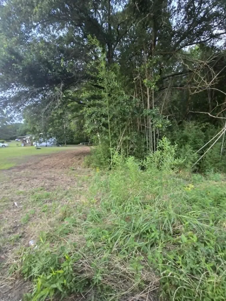 Tbd W Highway 49 Daingerfield TX 75638