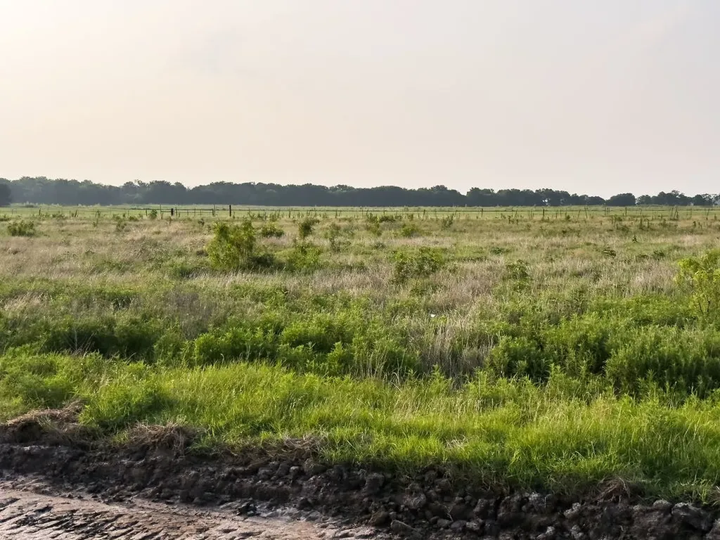 Lot 19 Elm Branch Elm Mott TX 76640