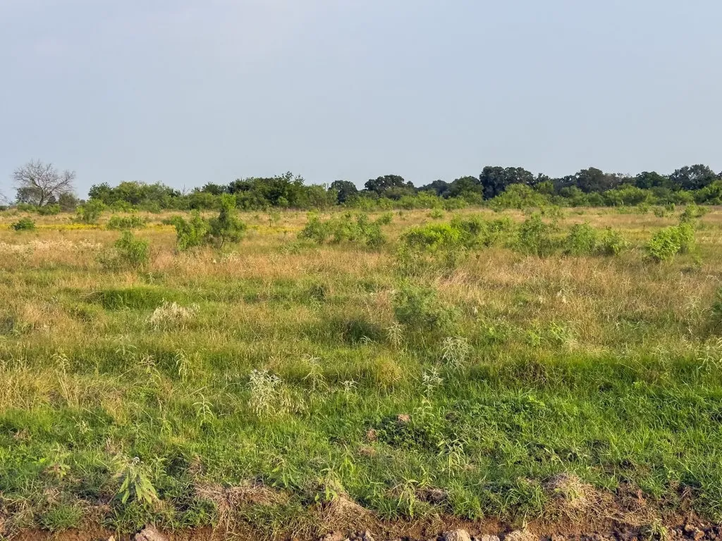 Lot 13 Elm Branch Elm Mott TX 76640