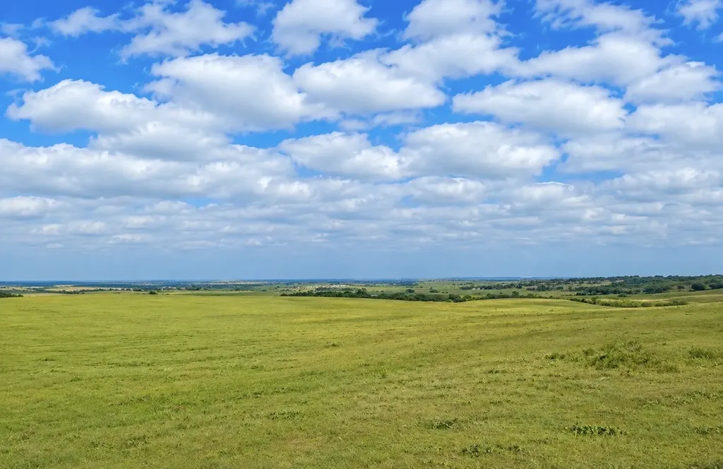 Tbd 130 County Road 242 Priddy TX 76442