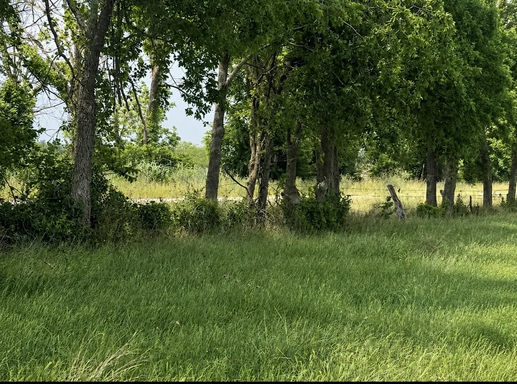 Tbd 130 County Road 242 Priddy TX 76442