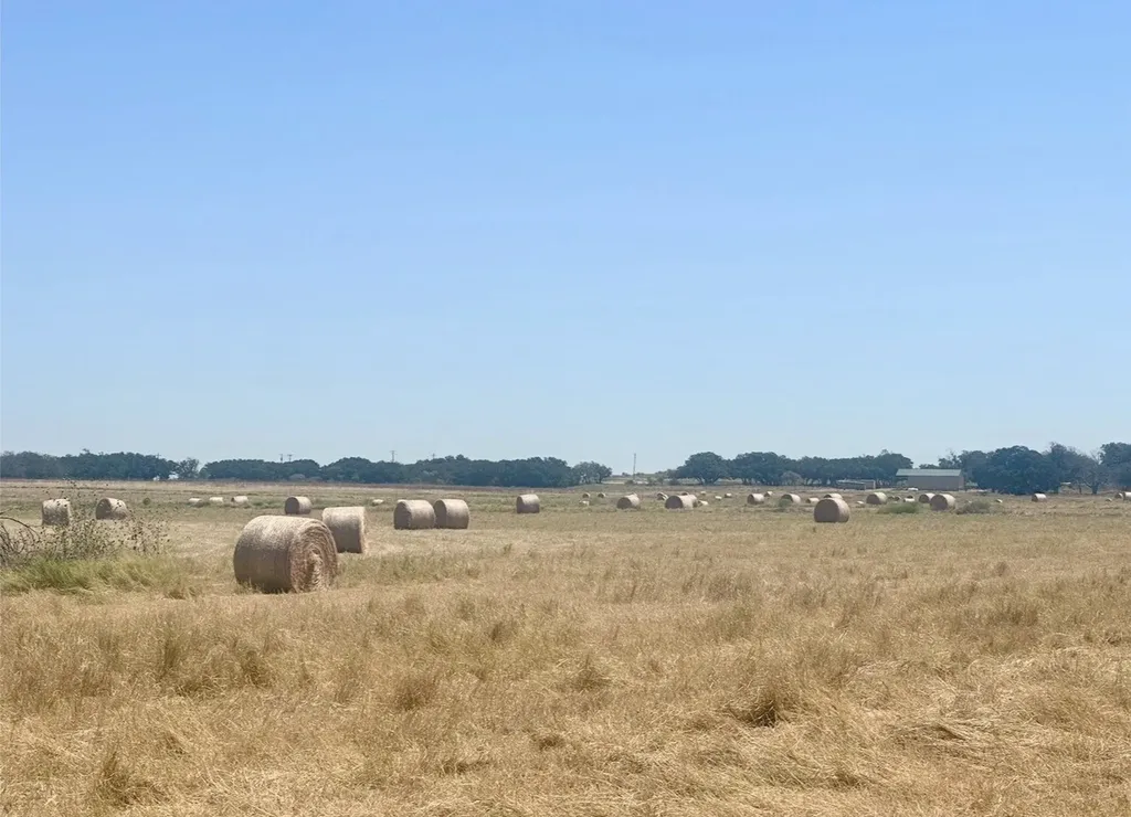Tbd 130 County Road 242 Priddy TX 76442