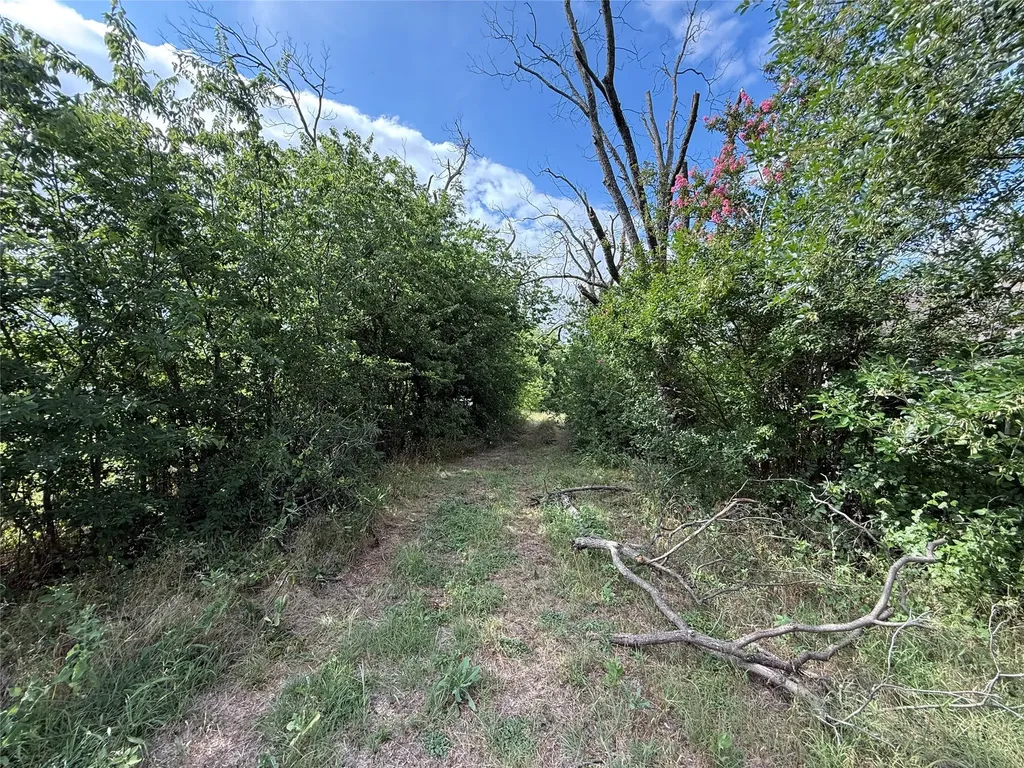801 1/2 E Walcott Avenue Comanche TX 76442