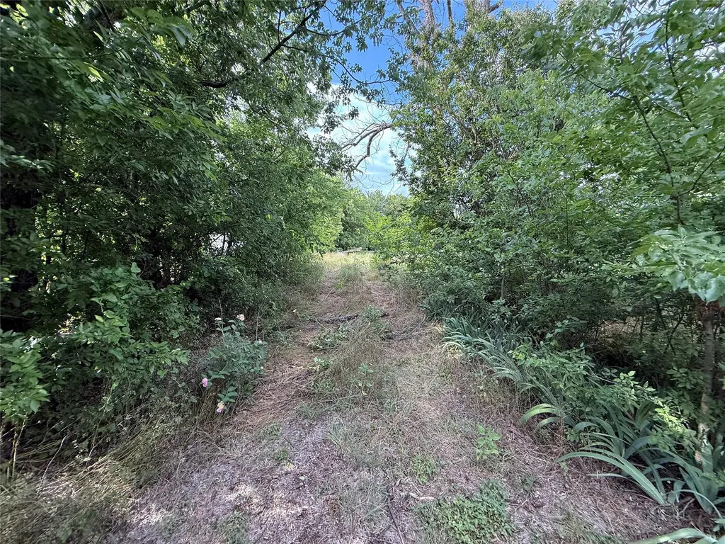 801 1/2 E Walcott Avenue Comanche TX 76442