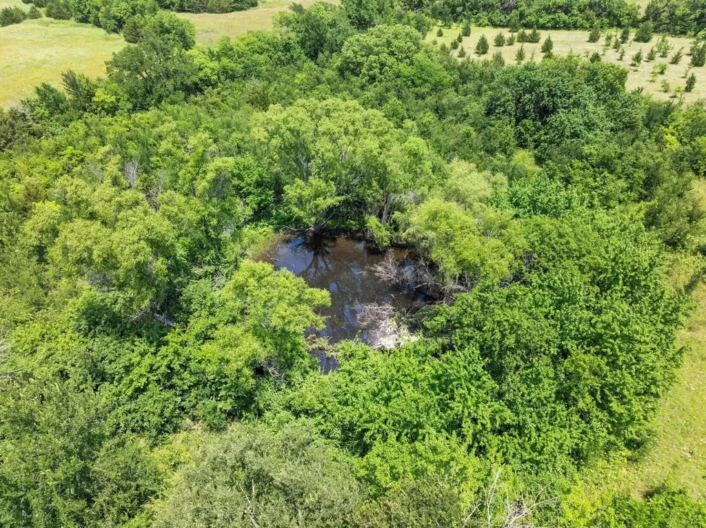 516 County Road 27450 Honey Grove TX 75446