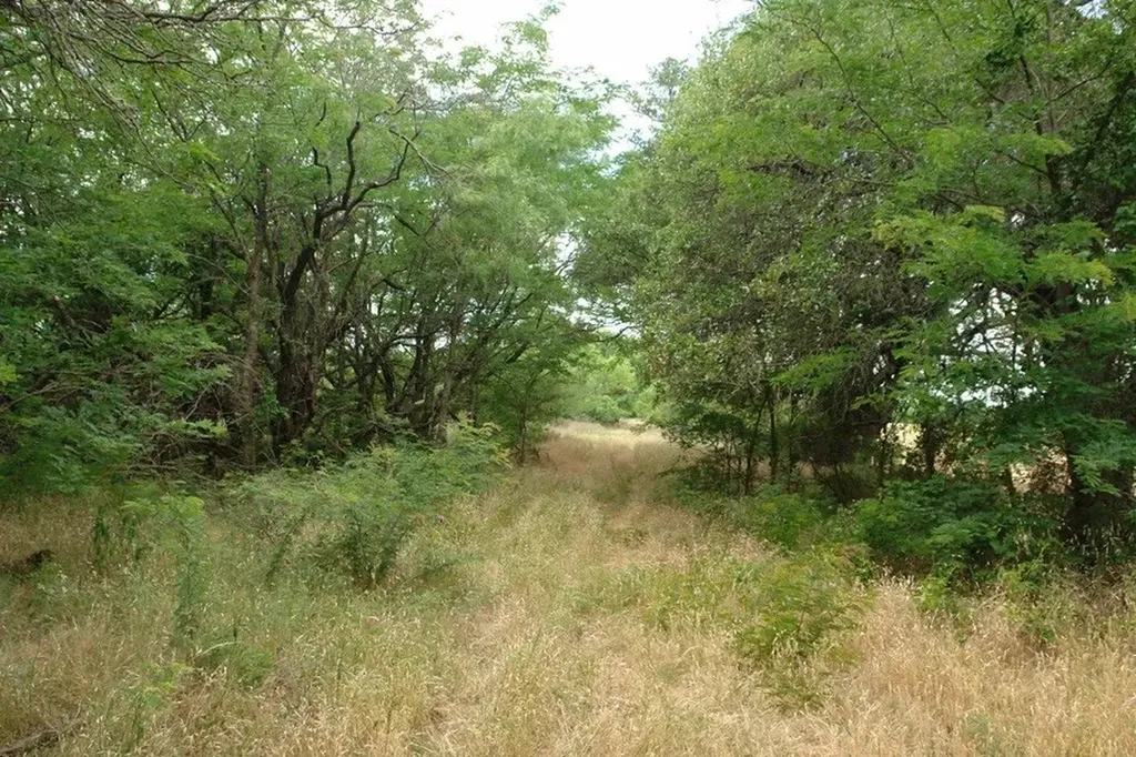1688 Highway 573 Comanche TX 76442