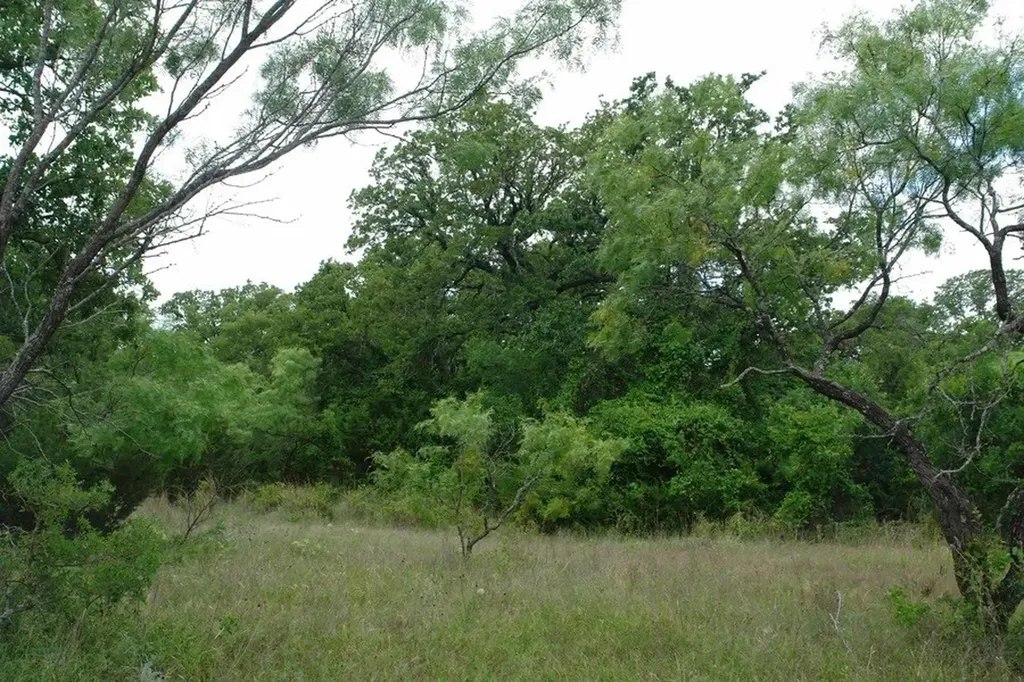 1688 Highway 573 Comanche TX 76442