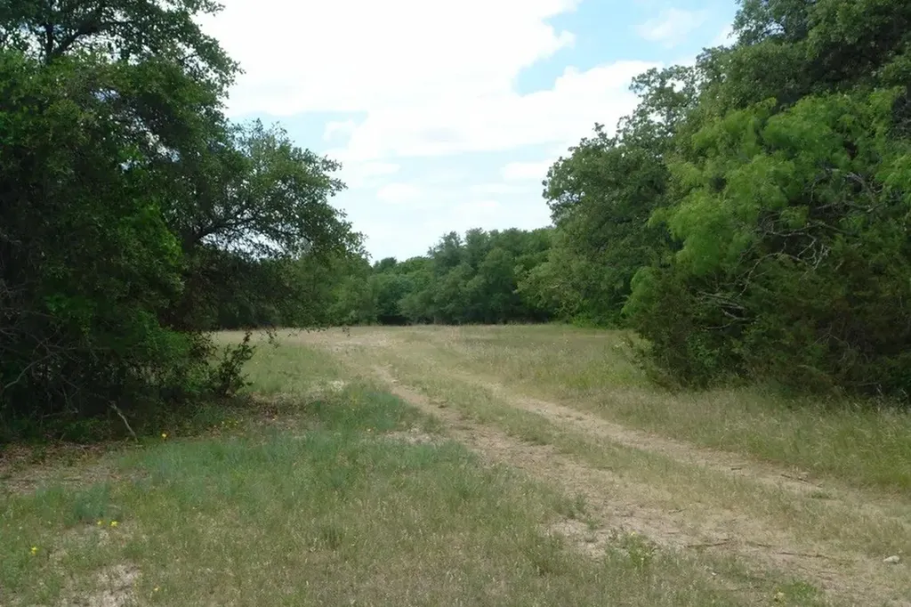 1688 Highway 573 Comanche TX 76442