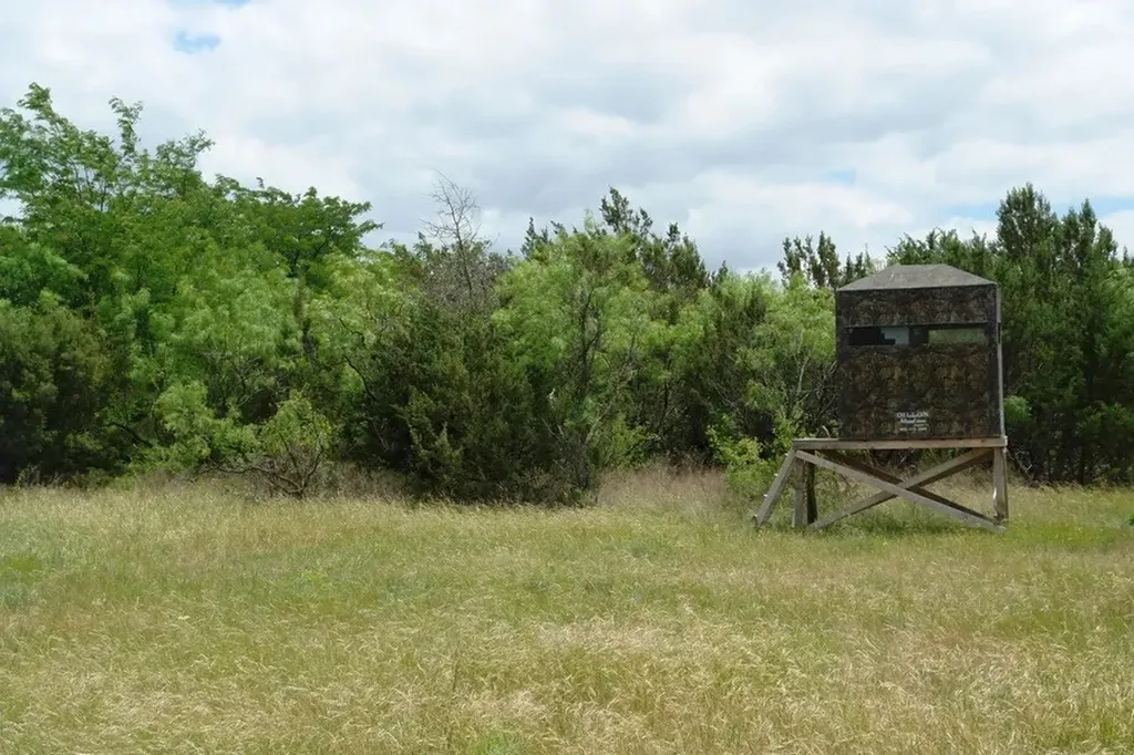 1688 Highway 573 Comanche TX 76442